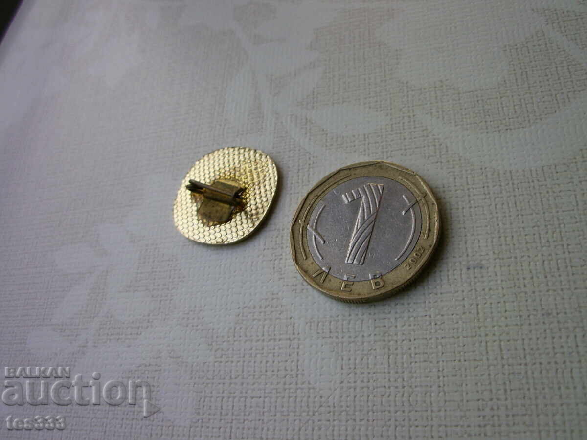 Badge Ruse 1877 1944 - 5