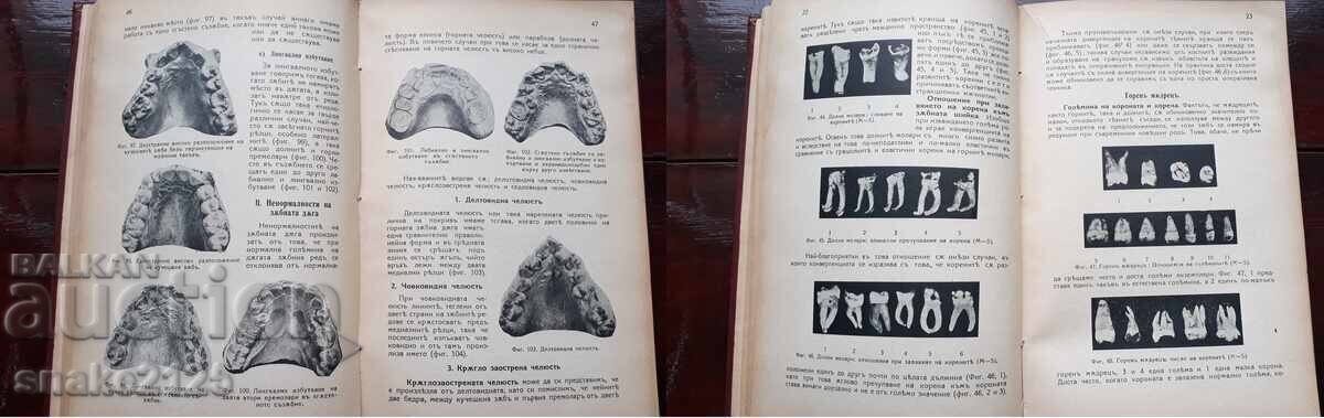 Old book - Dental diseases - 6 Old book - Dental diseases - 6