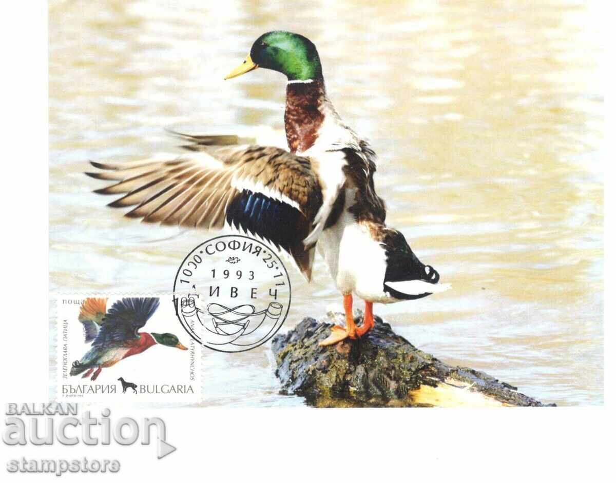 KM Mallard KM Mallard