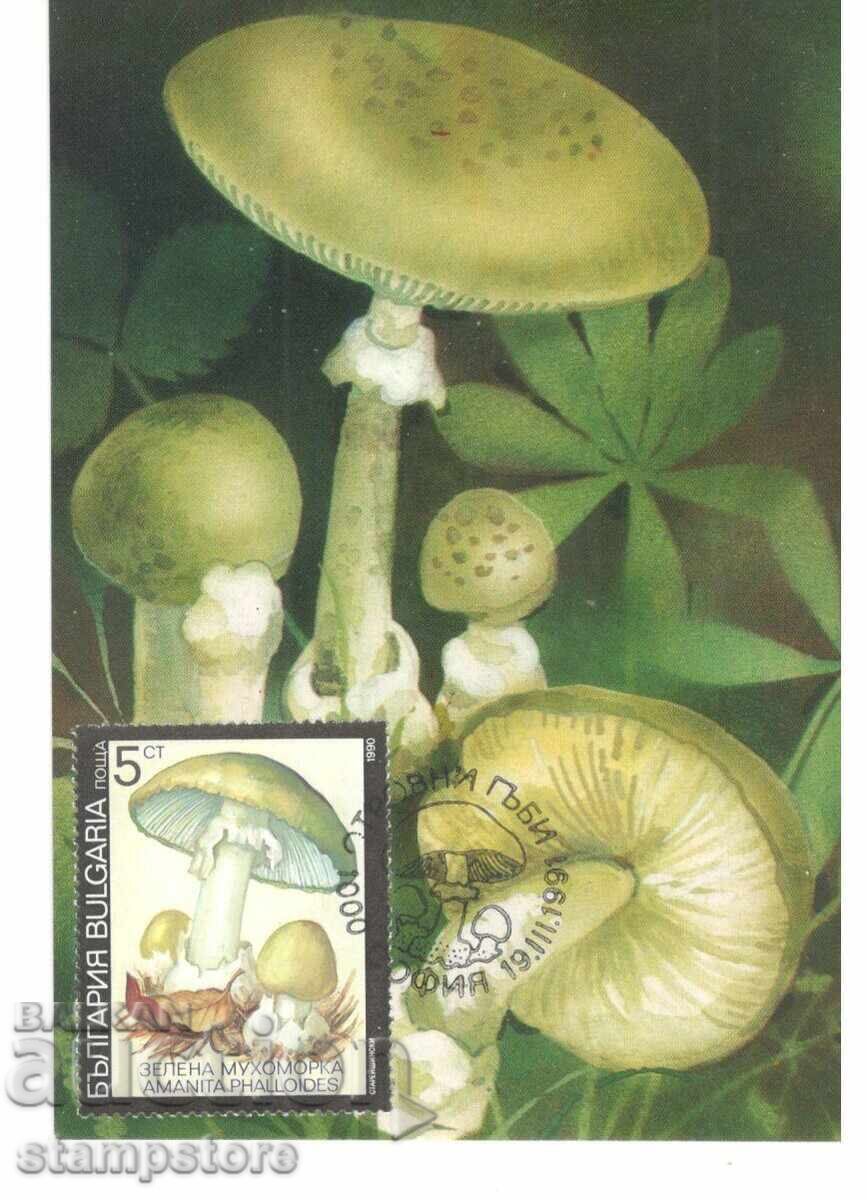 КМ Отровни гъби - Зелена мухоморка КМ Отровни гъби - Зелена мухоморка