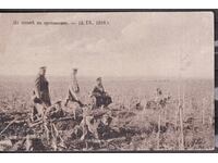 The War for Dobrudja - On the Heels of the εχθρό, 1917. SUPUR