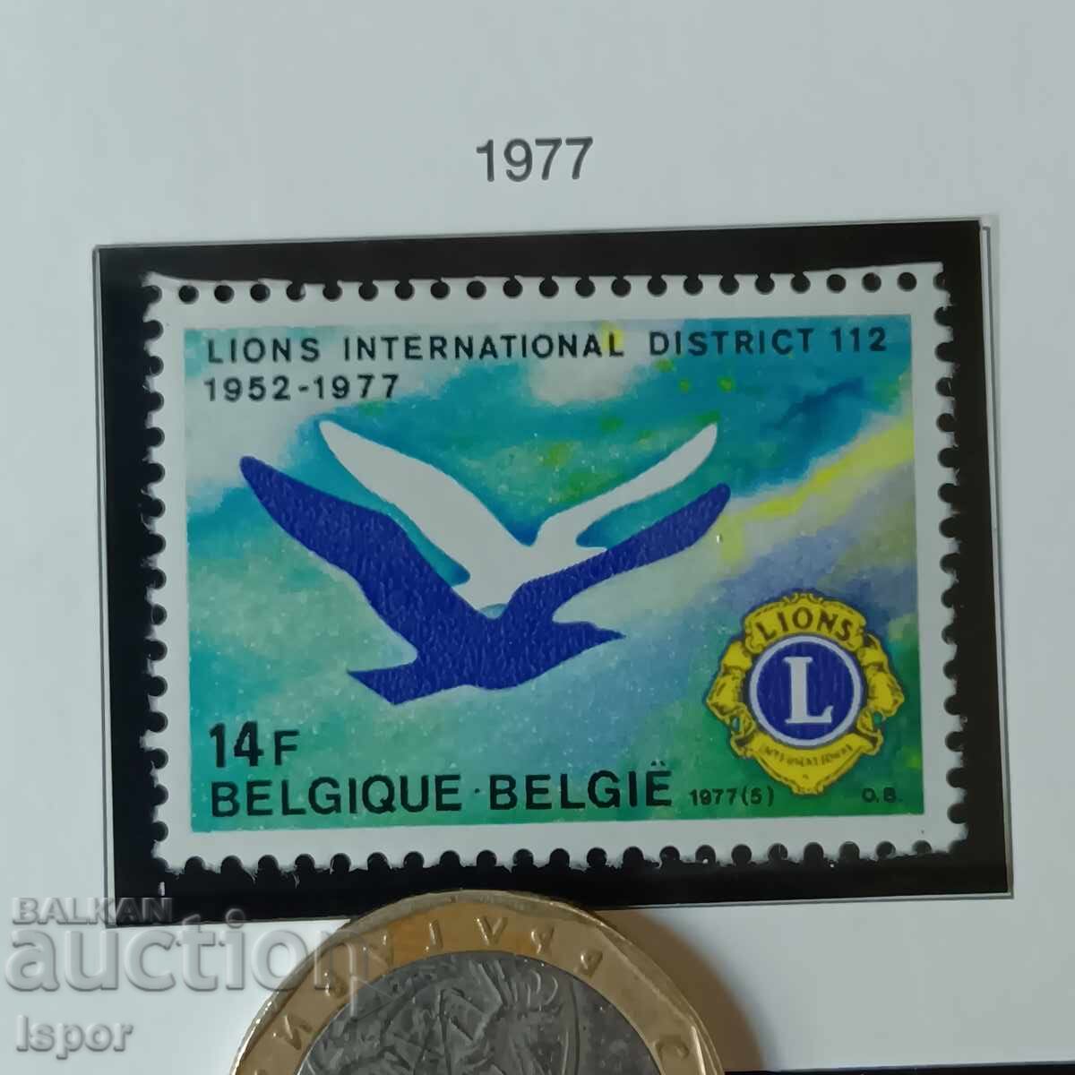 Βέλγιο Βέλγιο