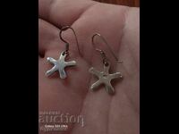 Silver earrings 925 Sample.