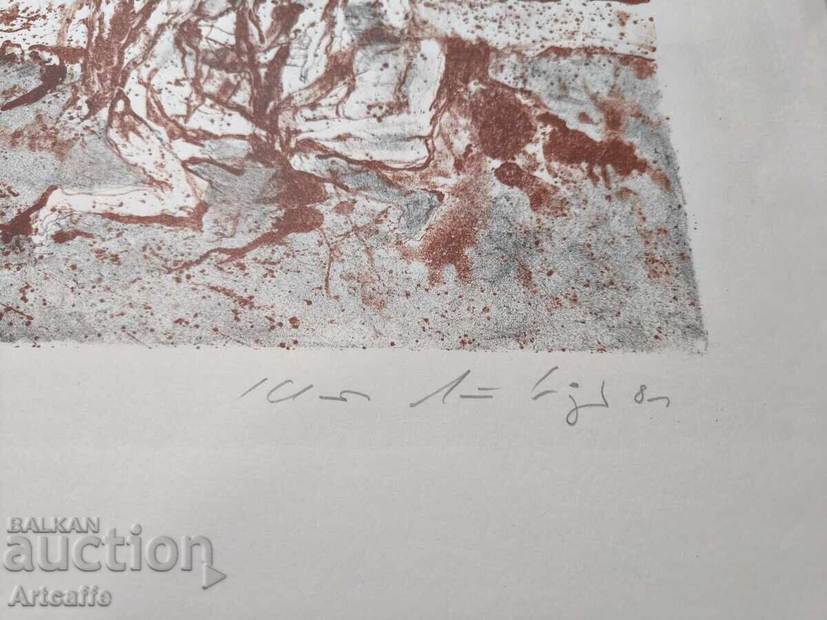 Livrarea Litografia color Livrarea Litografia color