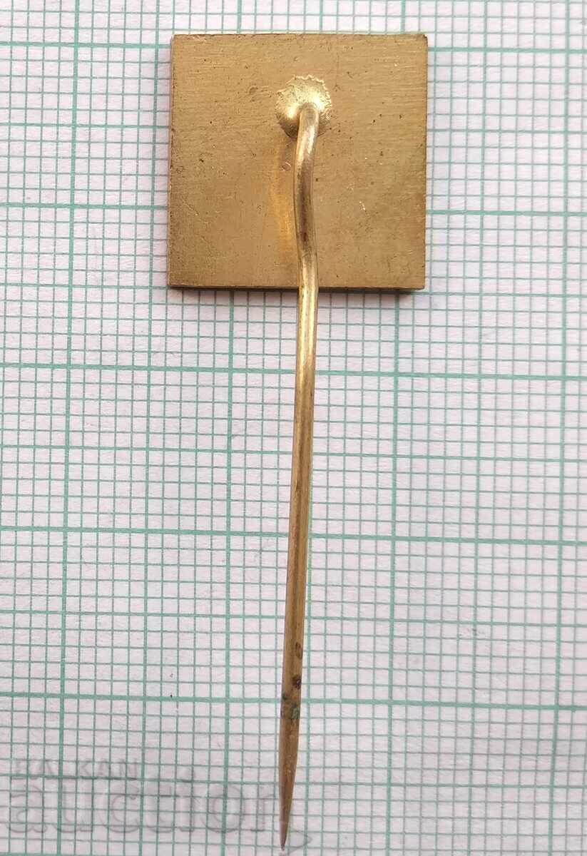 Auction  18108 Badge - Chrudim Doll Museum - Czech Republic