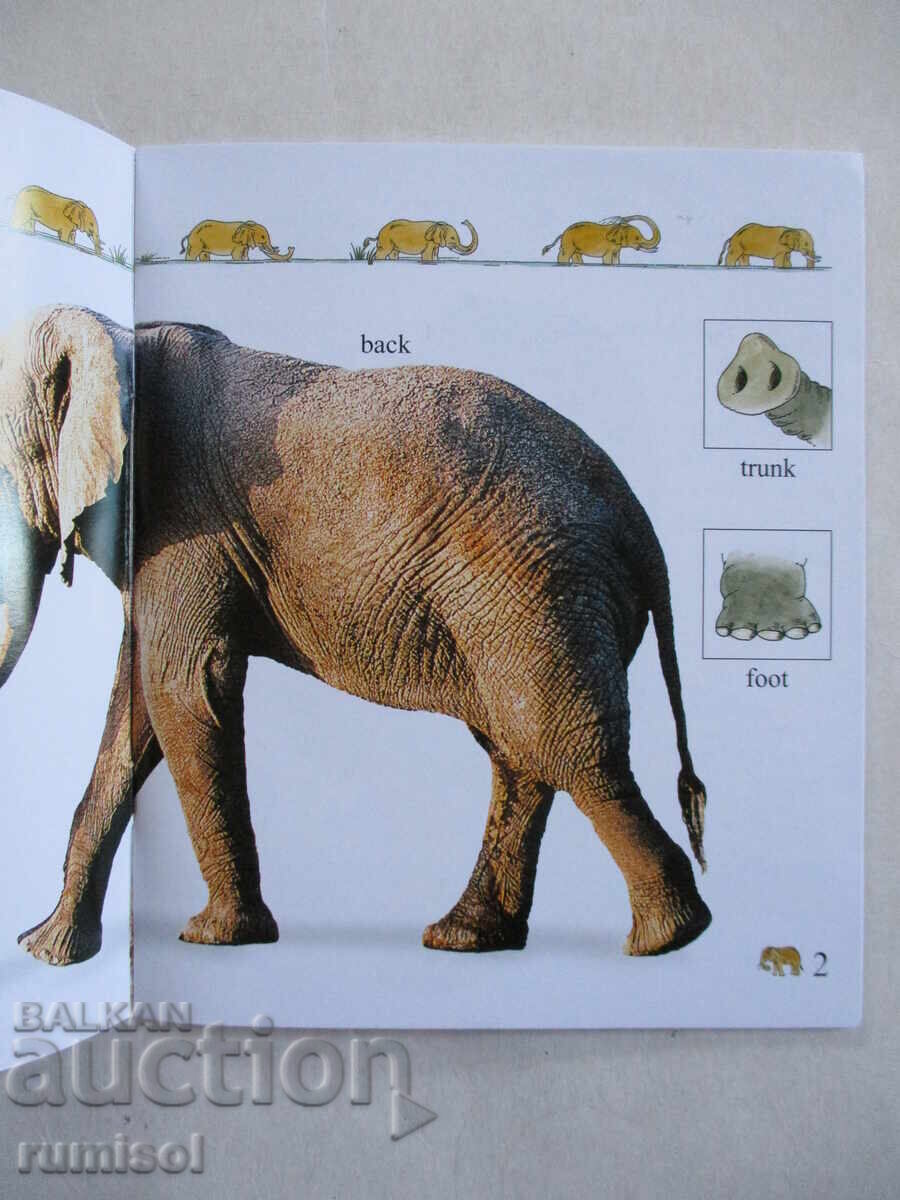 My First Encyclopedia - Animals with price 4.79 BGN | € 2.45