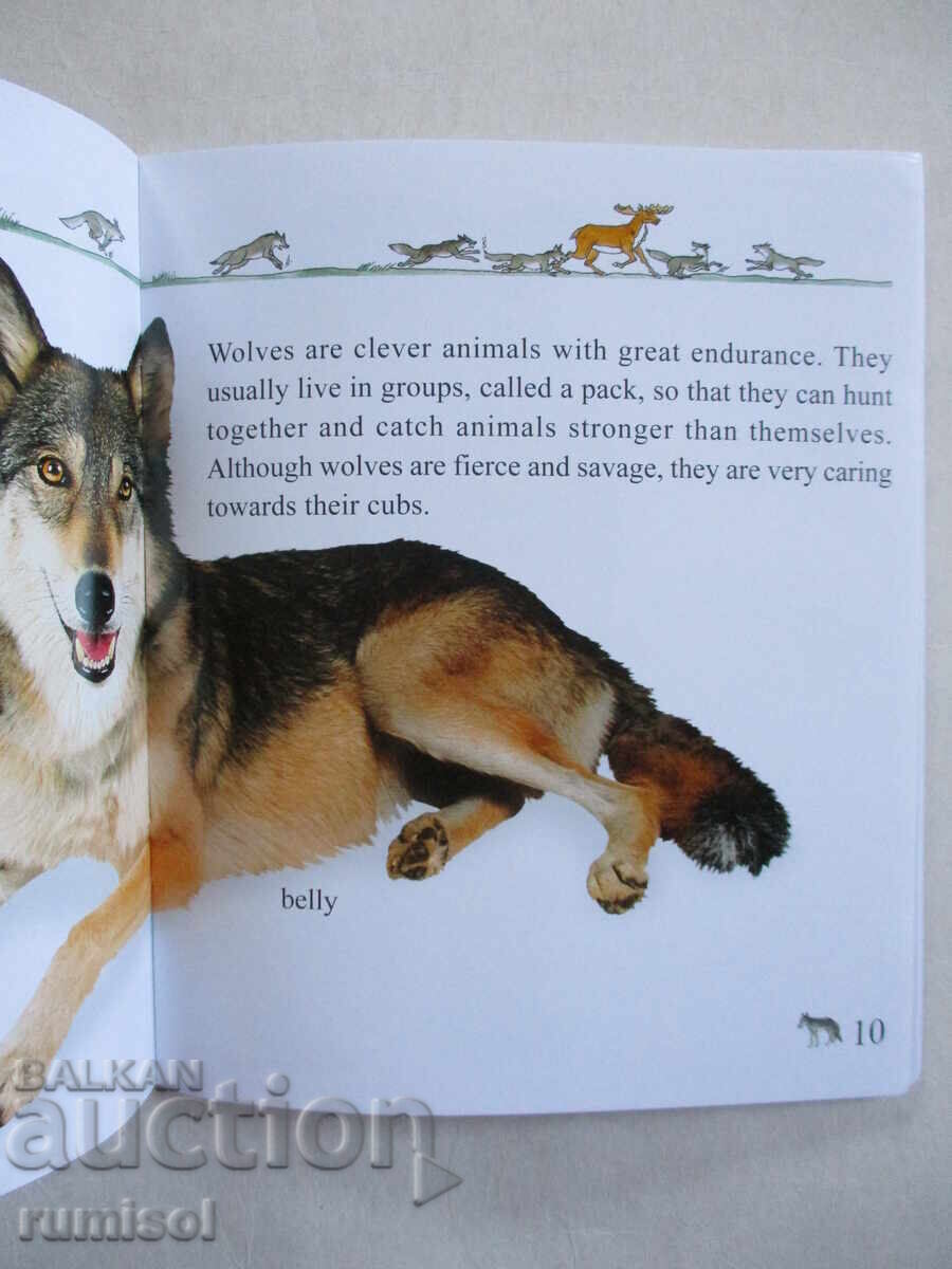 Delivery of My First Encyclopedia - Animals