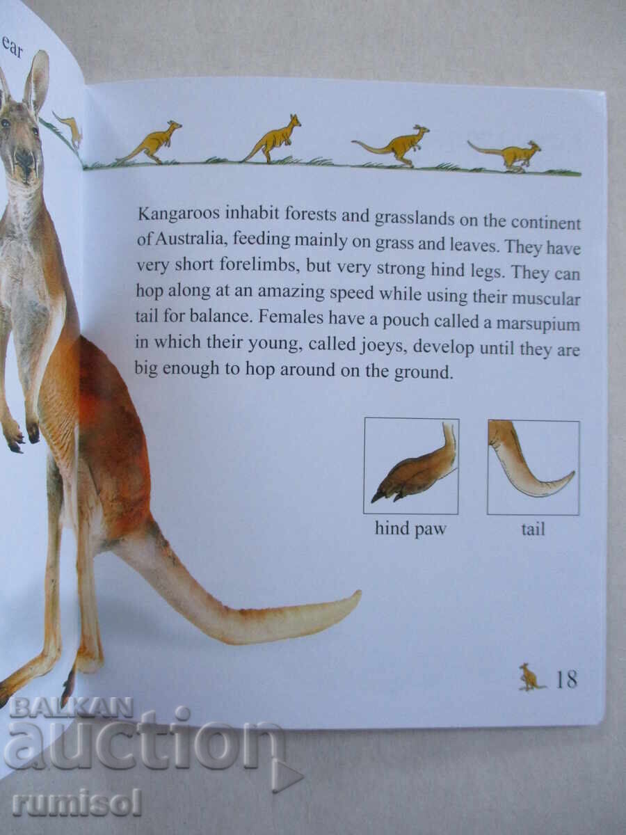 My First Encyclopedia - Animals - 5