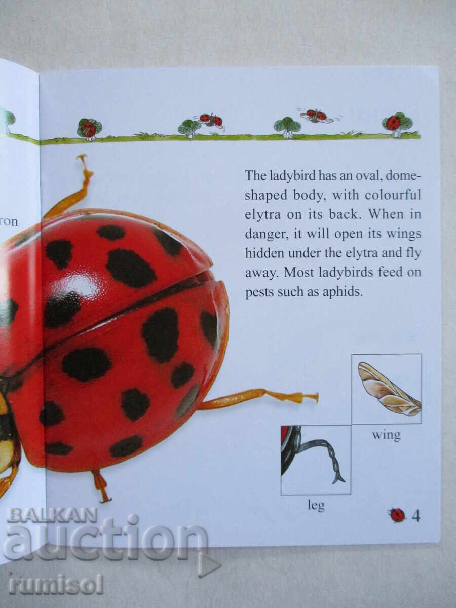 Auction My First Encyclopedia - Bugs Auction My First Encyclopedia - Bugs