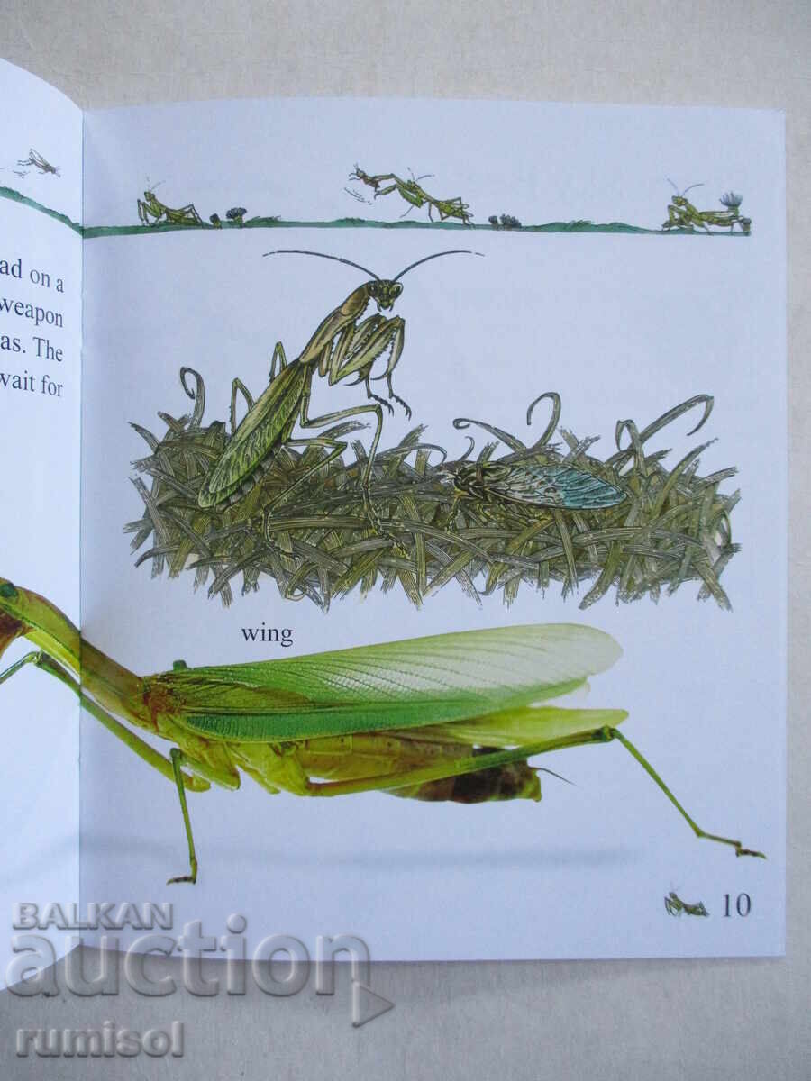 Delivery of My First Encyclopedia - Bugs Delivery of My First Encyclopedia - Bugs