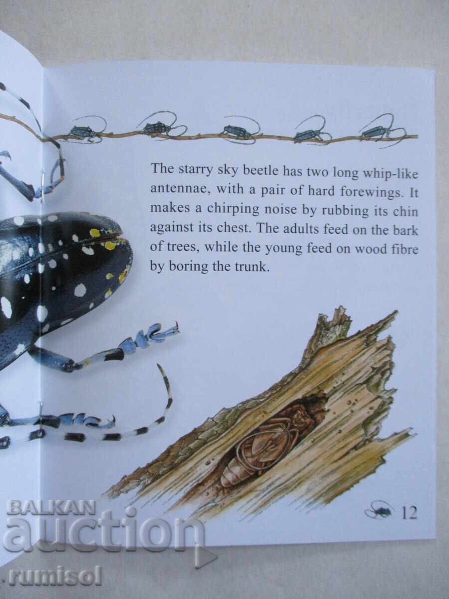 My First Encyclopedia - Bugs - 5 My First Encyclopedia - Bugs - 5