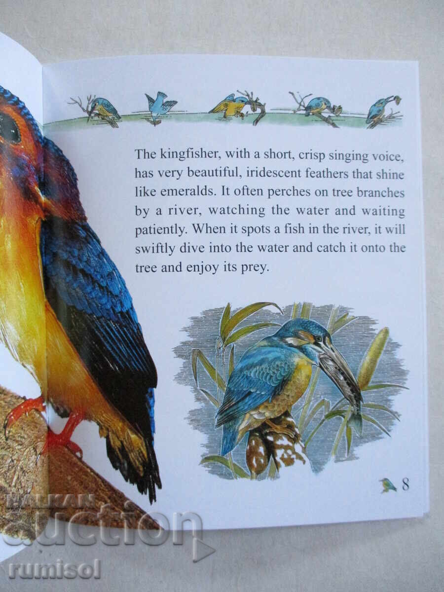 My First Encyclopedia - Birds with price 4.79 BGN | € 2.45 My First Encyclopedia - Birds with price 4.79 BGN | € 2.45