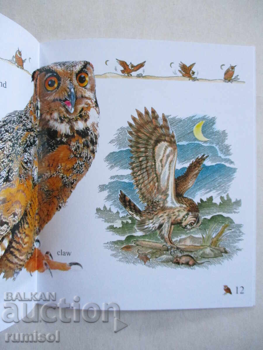 Auction My First Encyclopedia - Birds Auction My First Encyclopedia - Birds