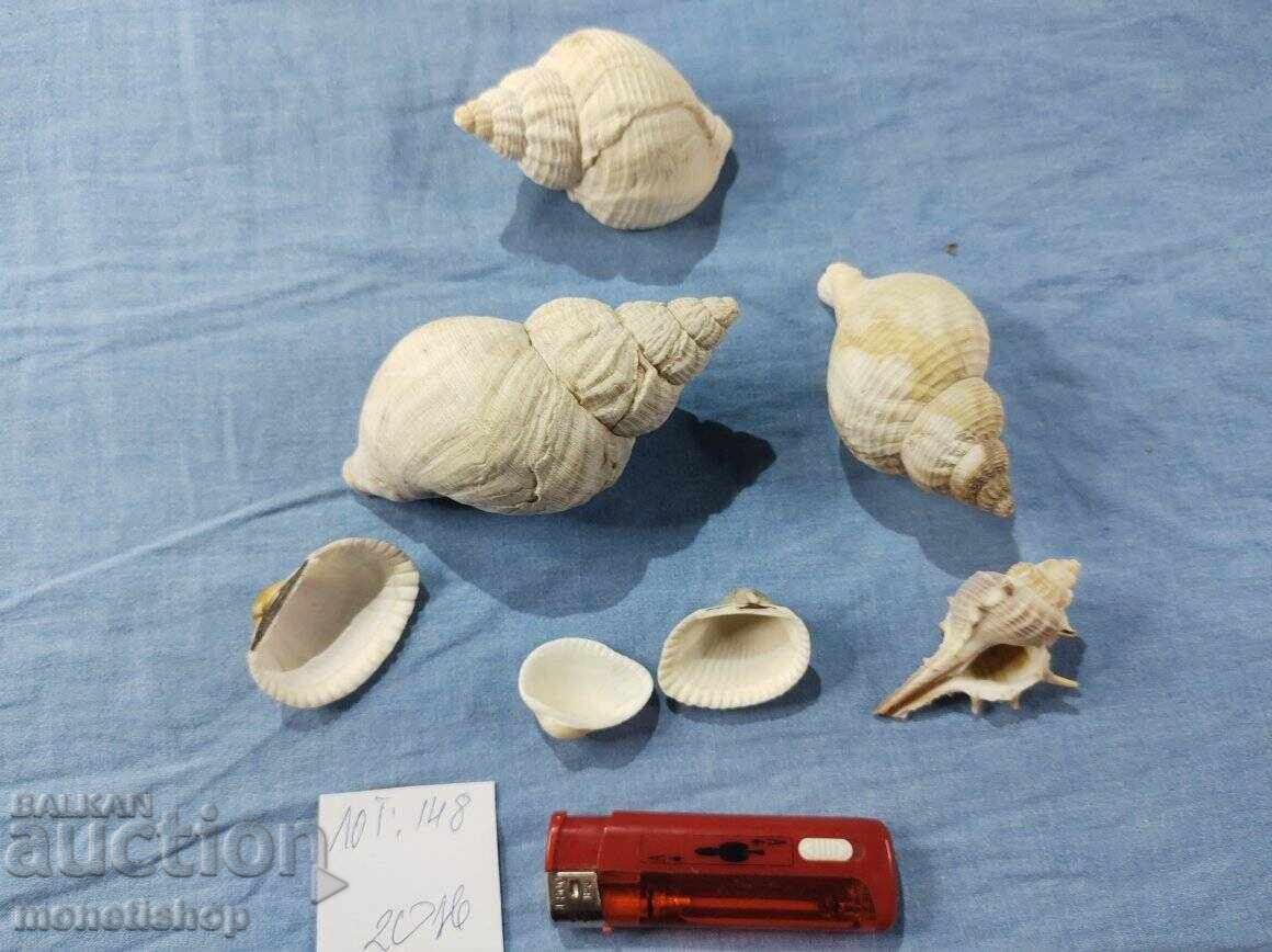 Δώρα στον ωκεανό. Δώρα στον ωκεανό.