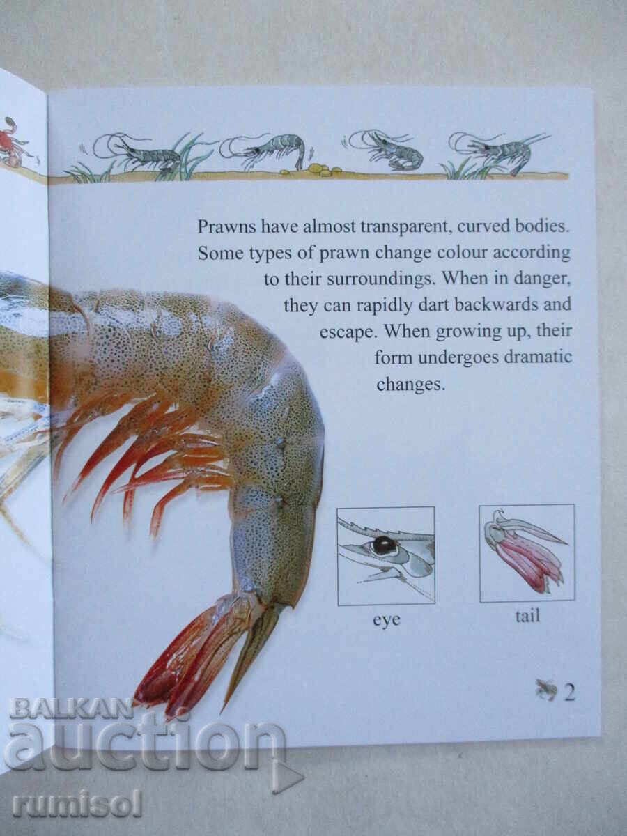 My First Encyclopedia - Aquatic Life with price 4.79 BGN | € 2.45 My First Encyclopedia - Aquatic Life with price 4.79 BGN | € 2.45