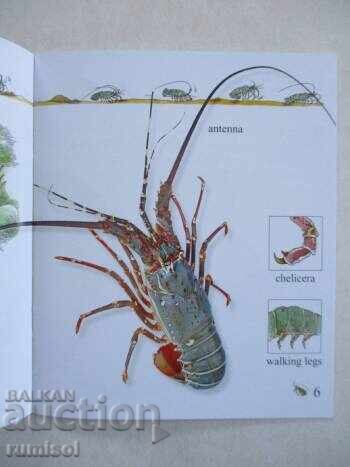 My First Encyclopedia - Aquatic Life - 5 My First Encyclopedia - Aquatic Life - 5