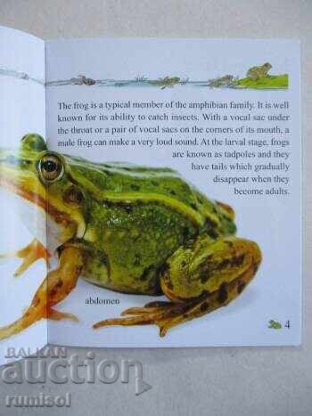 My First Encyclopedia - Herptiles with price 4.79 BGN | € 2.45 My First Encyclopedia - Herptiles with price 4.79 BGN | € 2.45