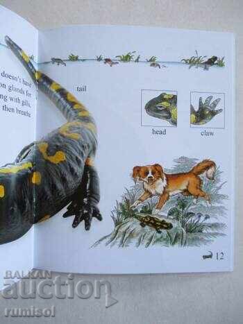 Auction My First Encyclopedia - Herptiles Auction My First Encyclopedia - Herptiles