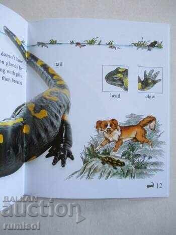 Аукцион My First Encyclopedia - Herptiles Аукцион My First Encyclopedia - Herptiles