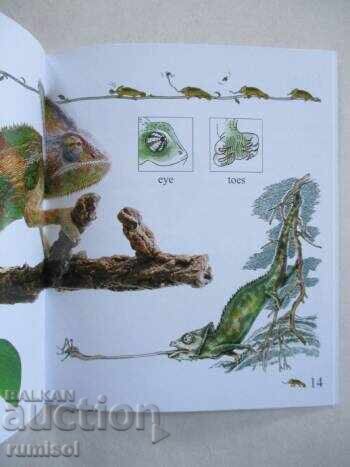 Доставка на My First Encyclopedia - Herptiles Доставка на My First Encyclopedia - Herptiles