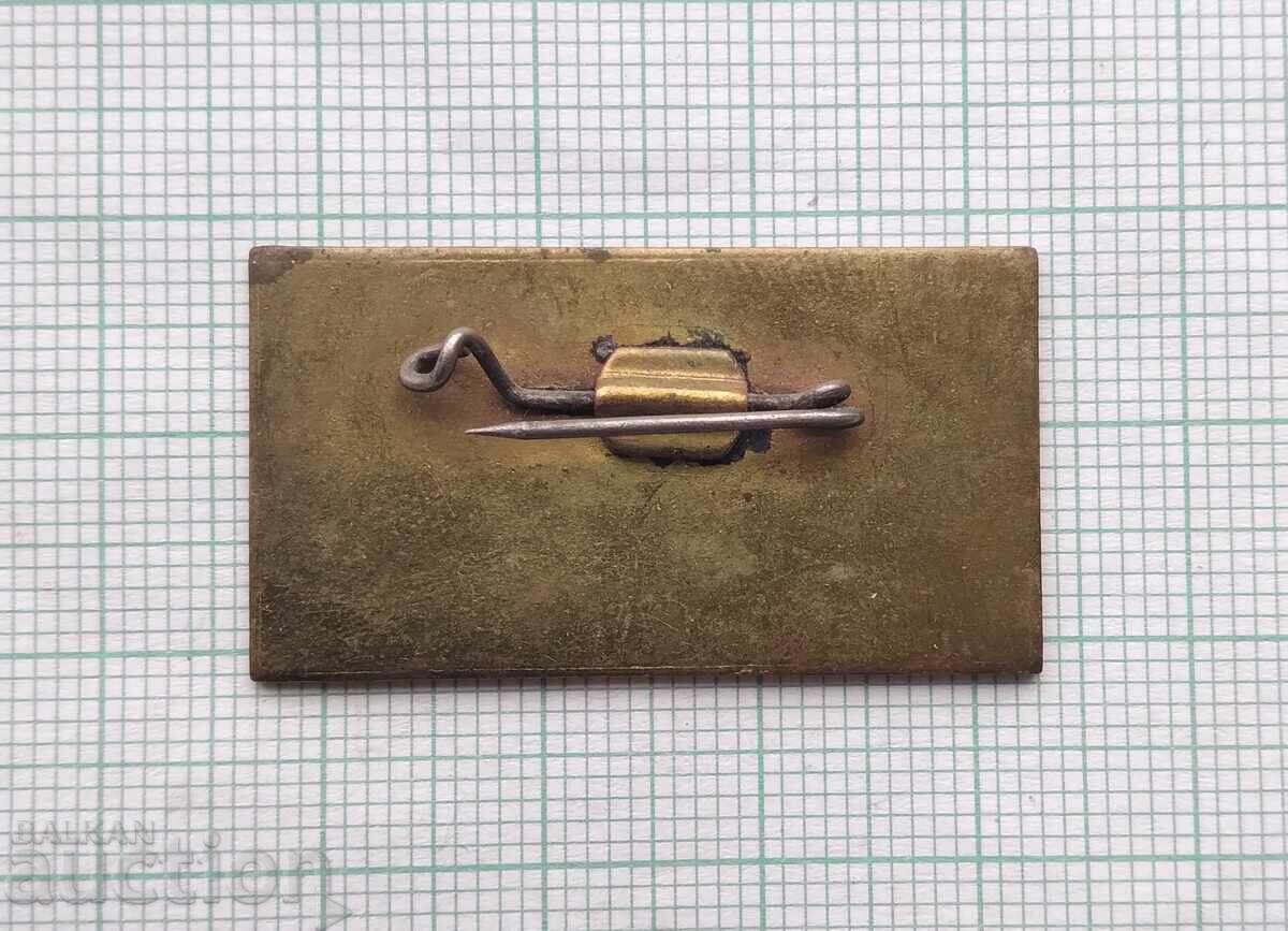 Auction  18125 Badge - Days of my city Shumen 1977