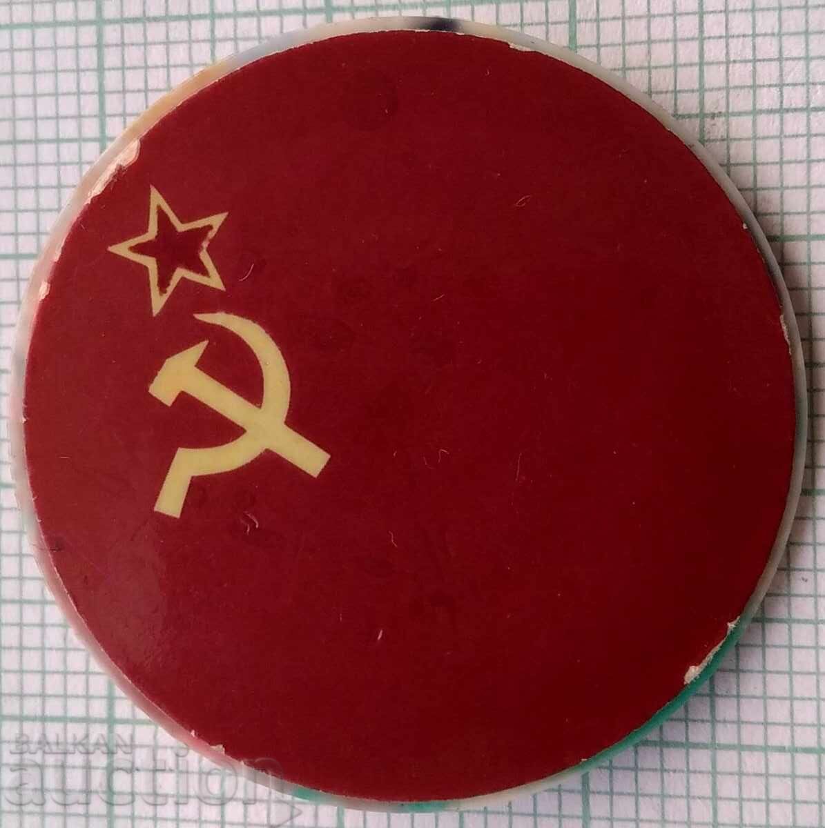 18132 Badge - flag USSR flag