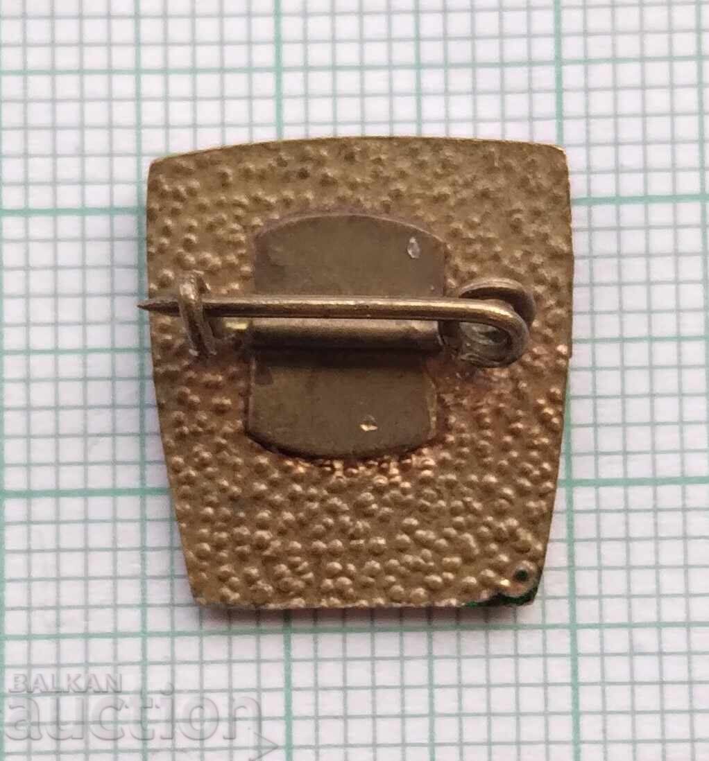 Auction  18140 Badge - DCMS - bronze