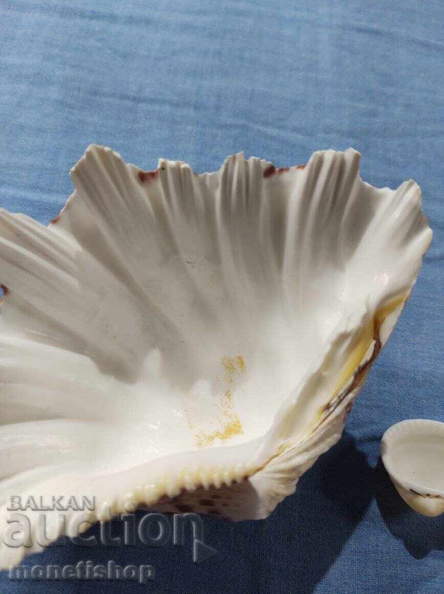 Delivery of Ocean gifts. Delivery of Ocean gifts.