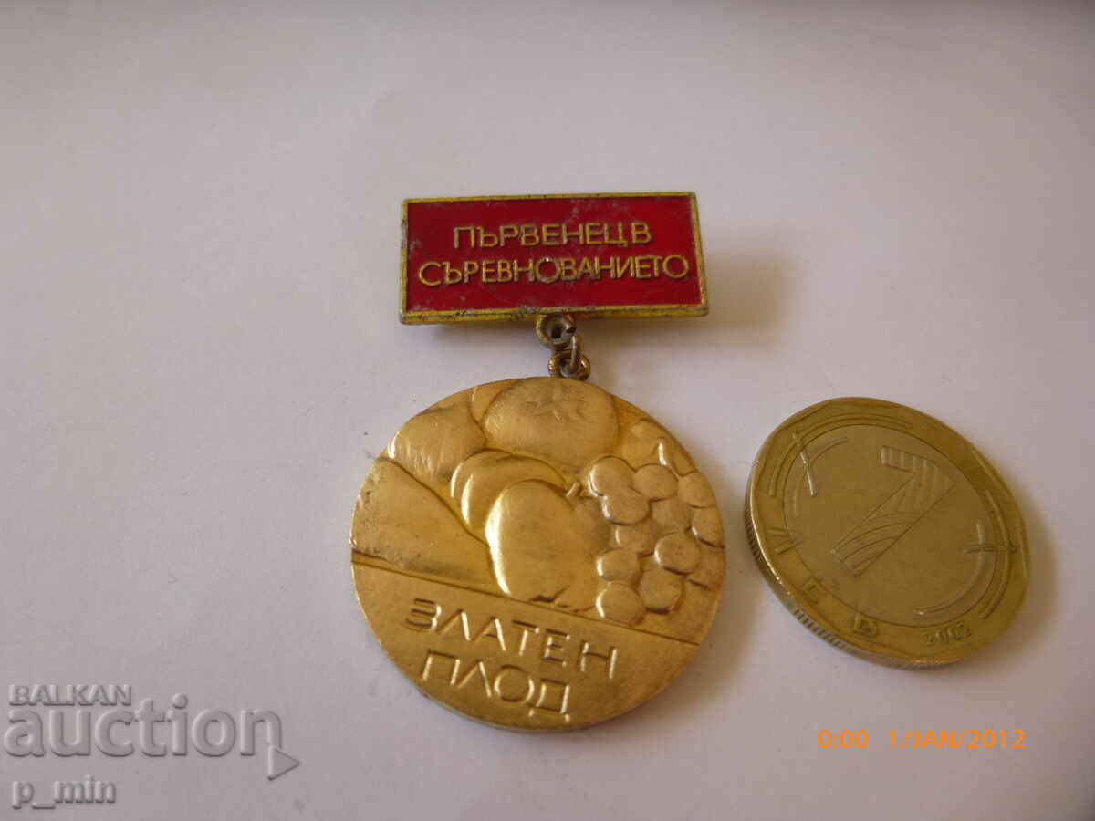 breastplate - First place in the competition - golden fruit breastplate - First place in the competition - golden fruit