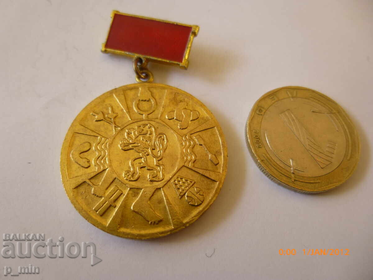 breastplate - For special merit