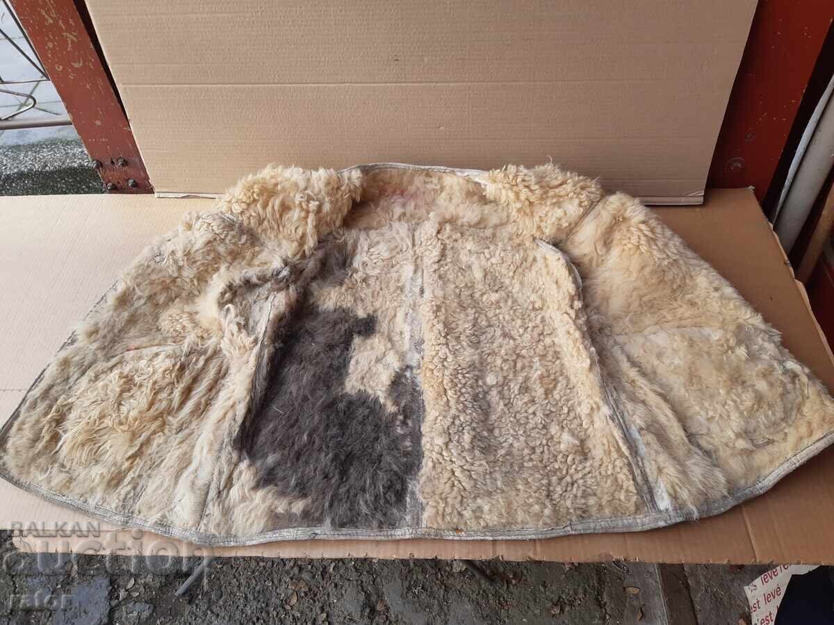 Στρατιωτικό δερμάτινο γιλέκο, γιλέκο Kingdom of Bulgaria, Δεύτερος Παγκόσμιος Πόλεμος - 5 Στρατιωτικό δερμάτινο γιλέκο, γιλέκο Kingdom of Bulgaria, Δεύτερος Παγκόσμιος Πόλεμος - 5