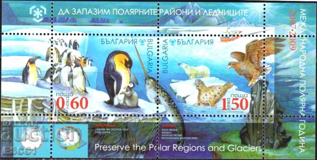 Clean block International Polar Year 2009 from Bulgaria