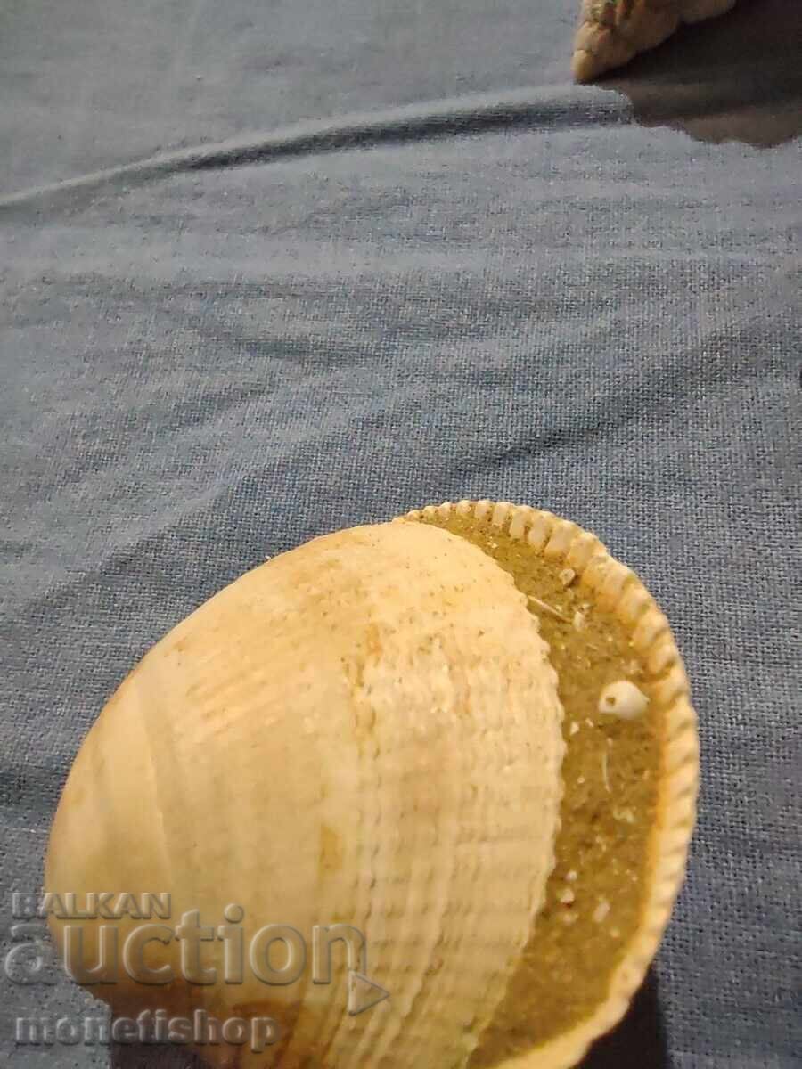 Παράδοση Δώρα στον ωκεανό. Παράδοση Δώρα στον ωκεανό.