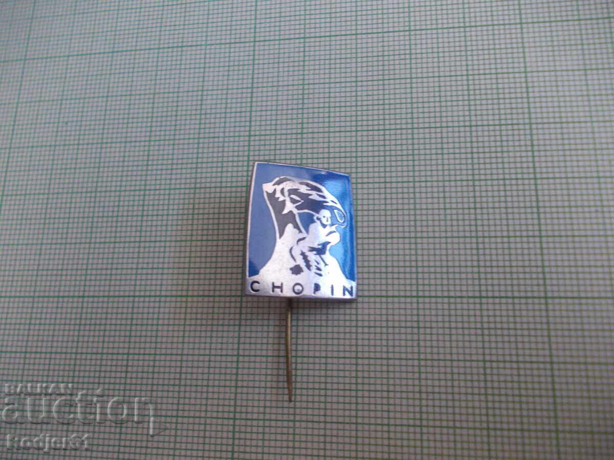 badges - individuals Frederic Chopin 2 pcs with price 5.00 BGN | € 2.56 badges - individuals Frederic Chopin 2 pcs with price 5.00 BGN | € 2.56