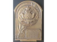 Table Medal Plaque World Exhibition 1935 Bronze