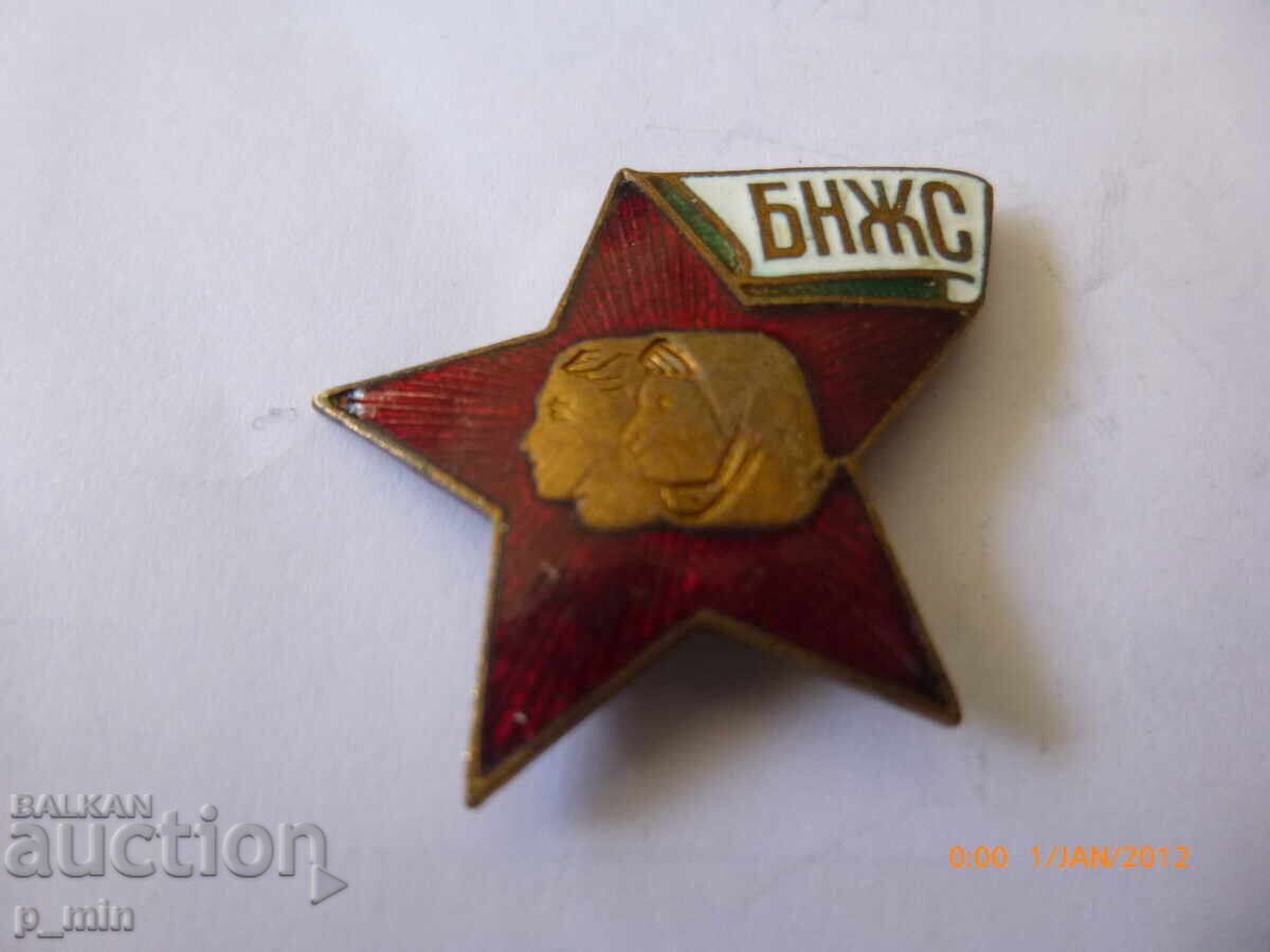 Auction breastplate - BNZH Auction breastplate - BNZH