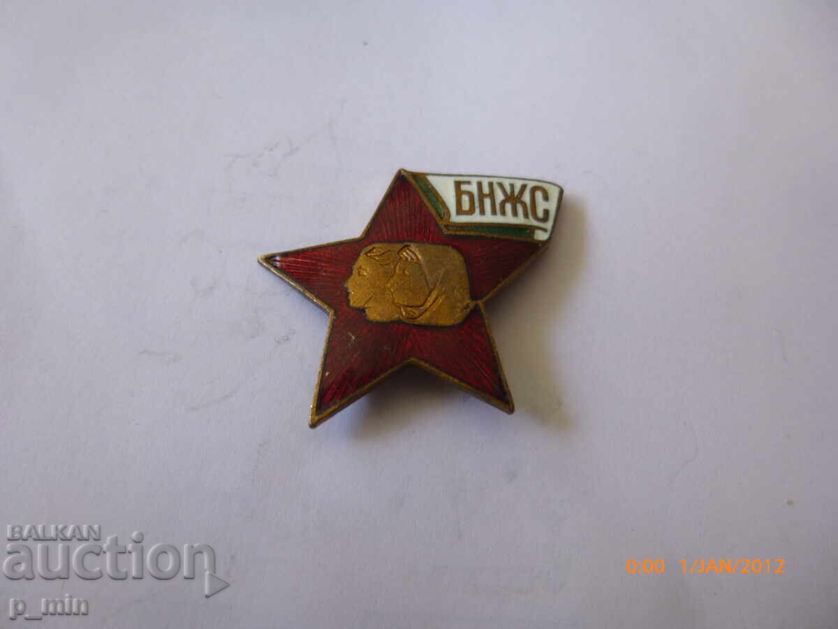 breastplate - BNZH breastplate - BNZH