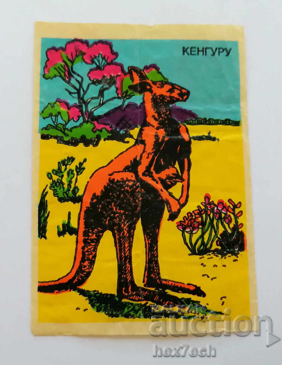 ❤️ ⭐ Imagine Animale Ideale Cangur ⭐ ❤️