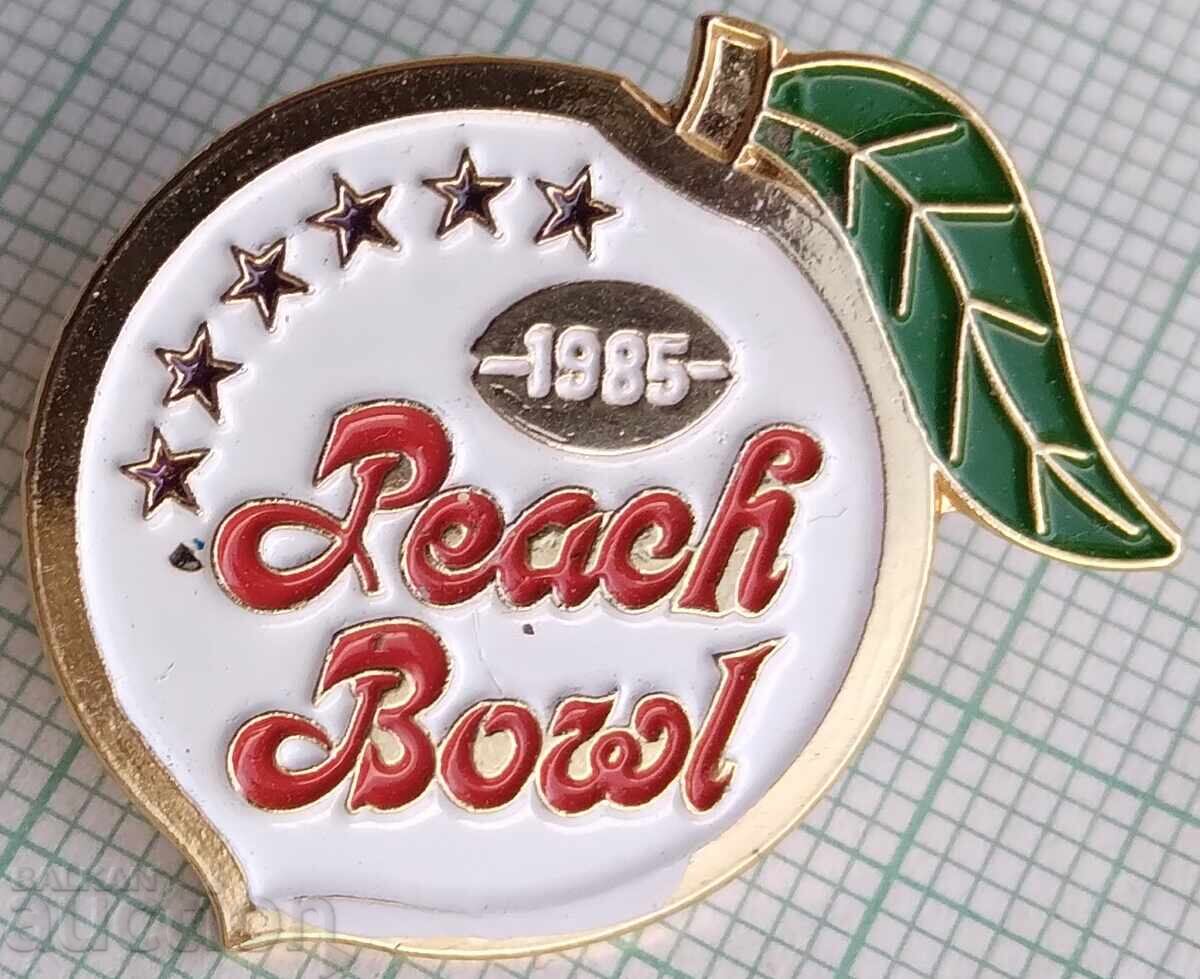 18175 Αμερικανικό ποδόσφαιρο Peach Bowl Atlanta Georgia ΗΠΑ 18175 Αμερικανικό ποδόσφαιρο Peach Bowl Atlanta Georgia ΗΠΑ