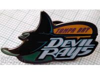 18179 Baseball team Devil rays Tampa USA baseball