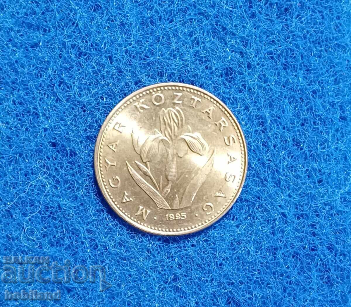 20 forints Hungary 1995 with gloss 20 forints Hungary 1995 with gloss