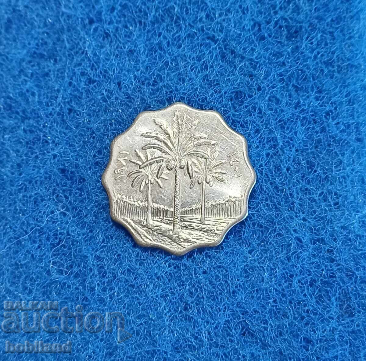 10 UAE fils with gloss with price 2.00 BGN | € 1.02 10 UAE fils with gloss with price 2.00 BGN | € 1.02