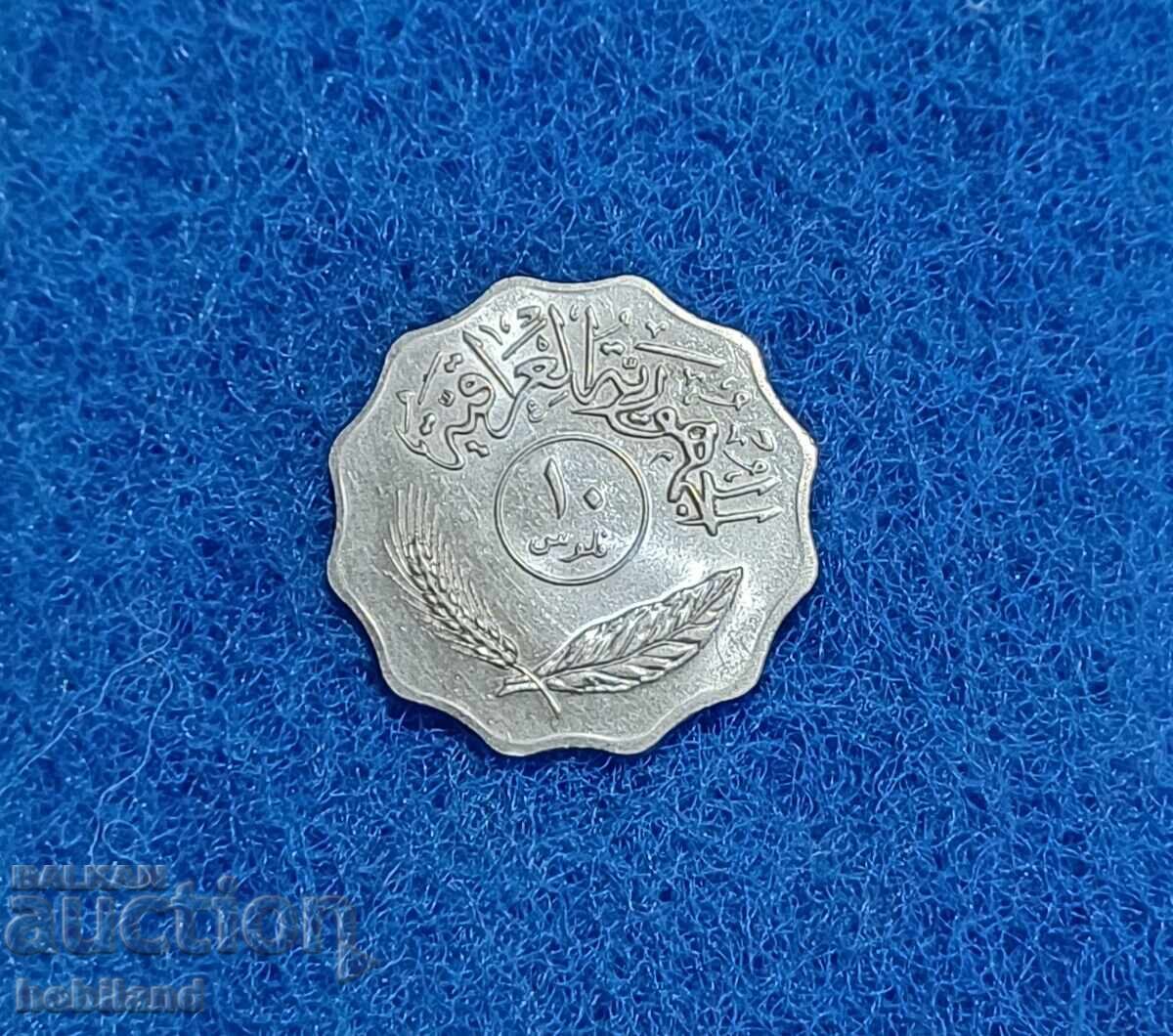 10 UAE fils with gloss 10 UAE fils with gloss