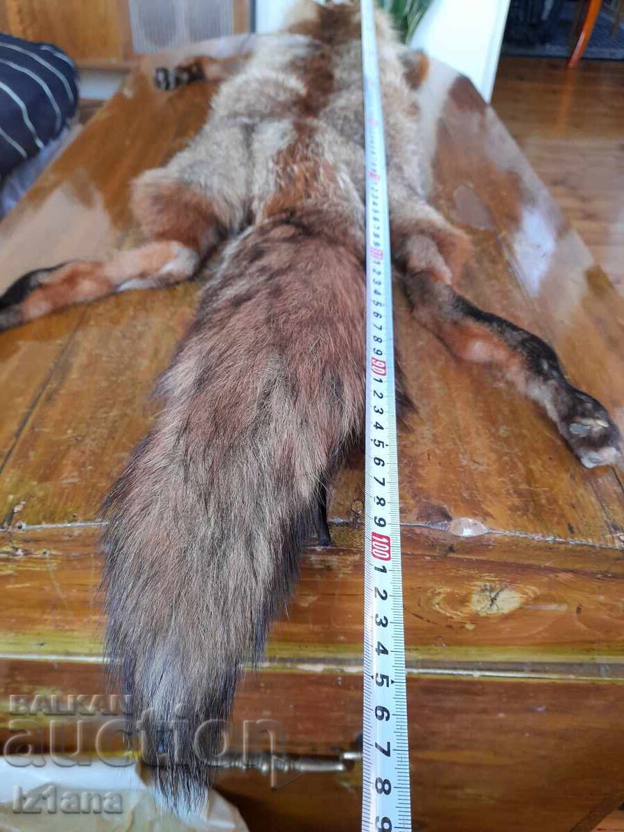 Delivery of Old leather, fox collar