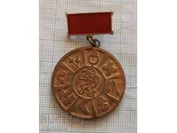 Badge - For special merits of the Central Committee of the Bulgarian Football Union