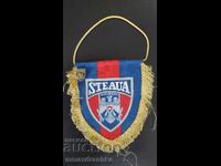 Steaua flag and badge