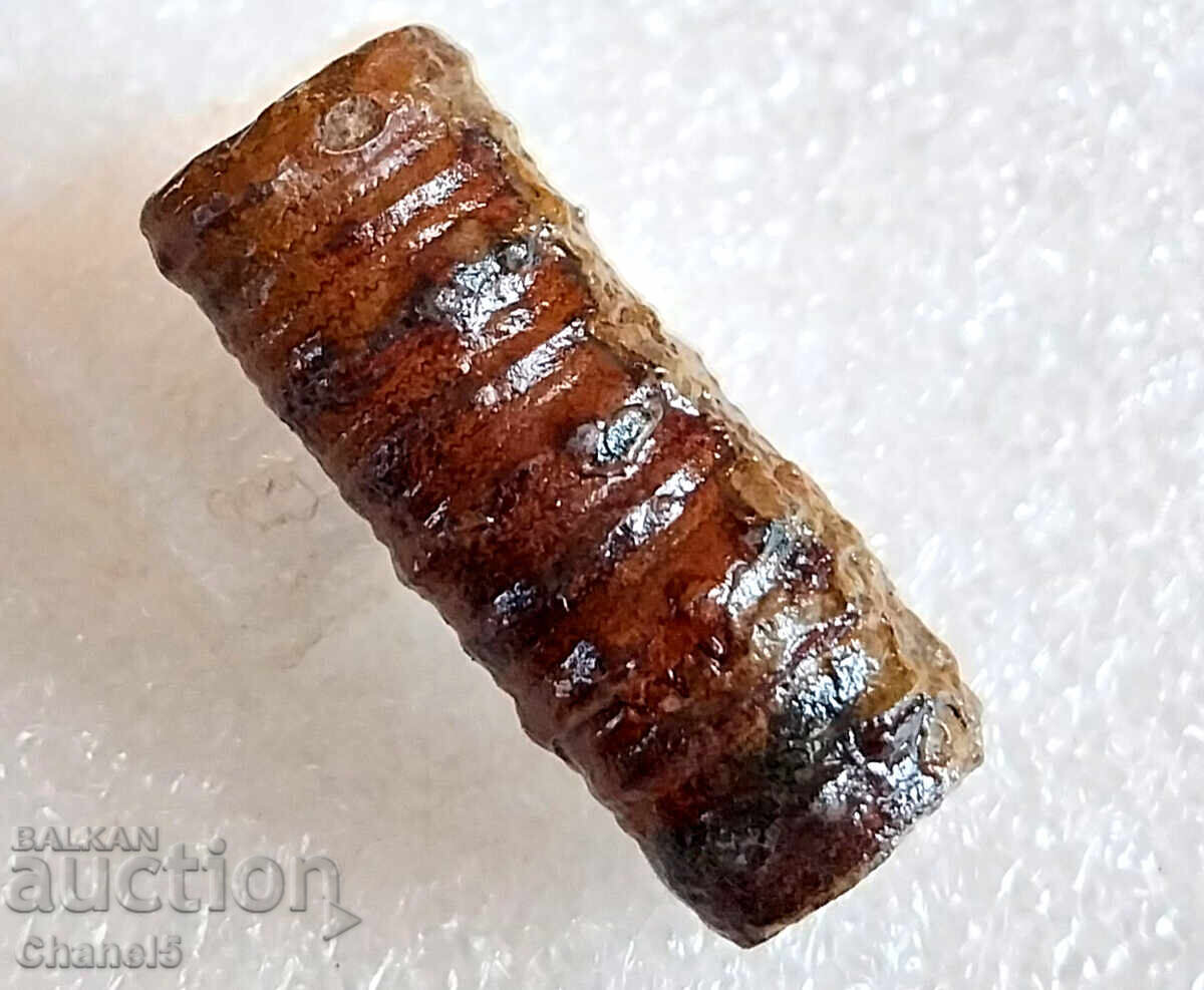 Auction  FOSSIL - PETRIFIED CRINOID 400 million years old (743)