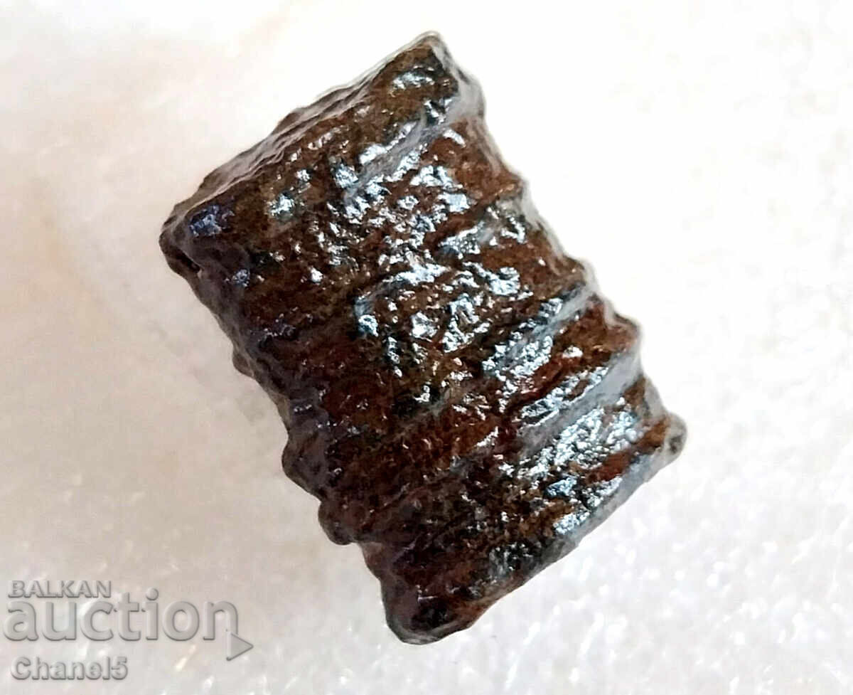 FOSSIL - PETRIFIED CRINOID 400 million years old (745) with price 12.90 BGN | € 6.60 FOSSIL - PETRIFIED CRINOID 400 million years old (745) with price 12.90 BGN | € 6.60