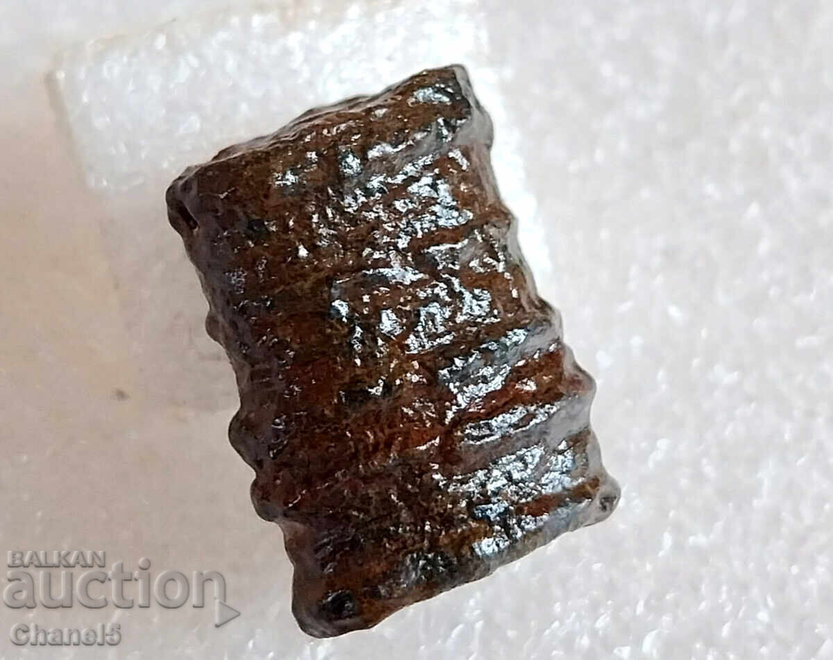 Auction FOSSIL - PETRIFIED CRINOID 400 million years old (745) Auction FOSSIL - PETRIFIED CRINOID 400 million years old (745)