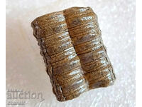 FOSSIL - PETRIFIED CRINOID 400 million years old (746)